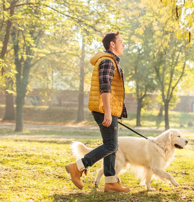 Dog Walking, Men, Walking, Public Park, Dog