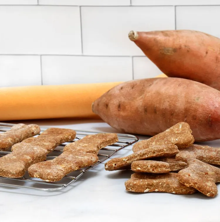 Dog Biscuit, Dog, Sweet Potato, Homemade, Achievement