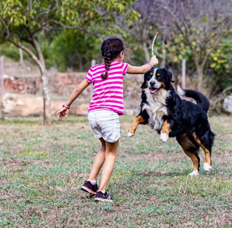 Dog, Girls, Two People, Running, Agricultural Field