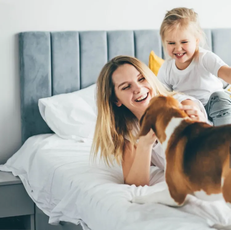 Family, Dog, Bed - Furniture, Domestic Life, Child