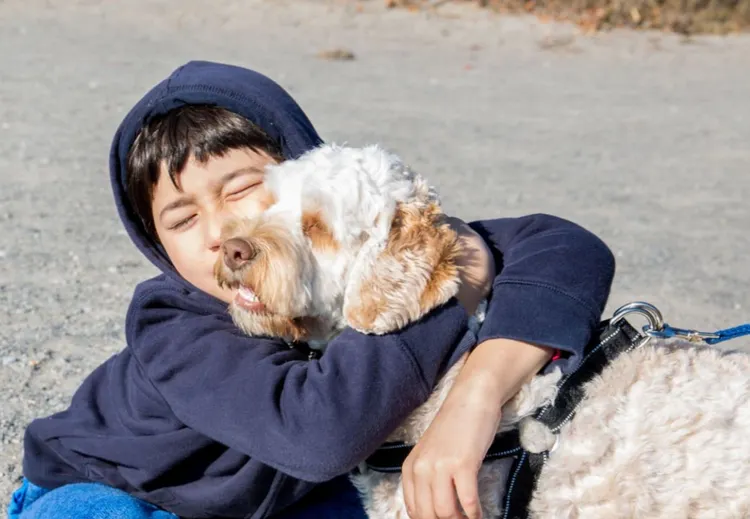 Boys, Cockapoo, Dog, Hooded Shirt, Pets