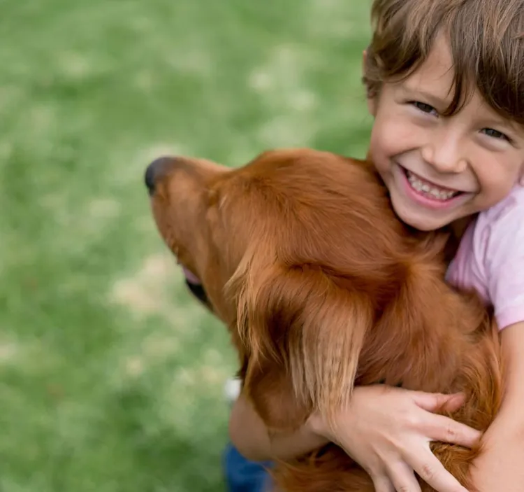 Child, Puppy, Dog, Playful, Playing