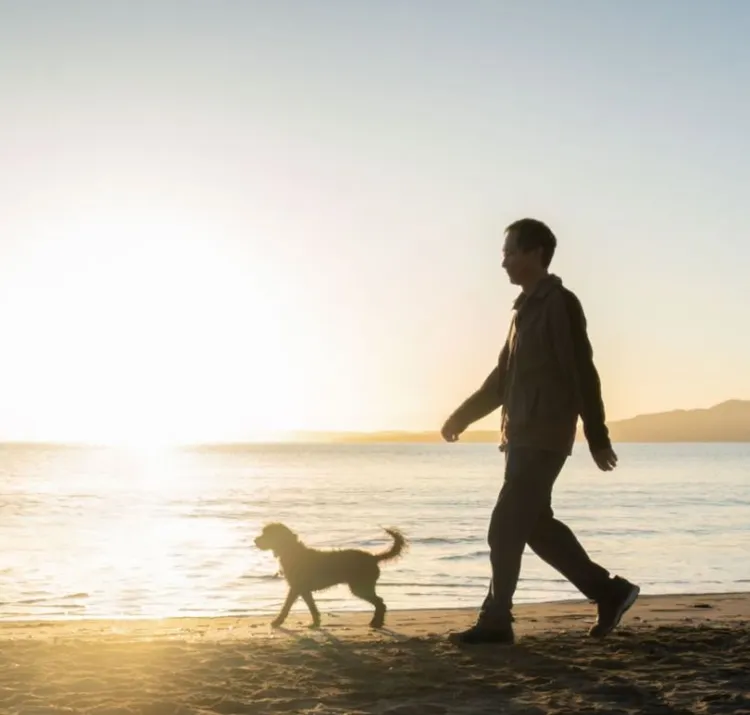 Dog Walking, Men, Dog, Beach, Walking