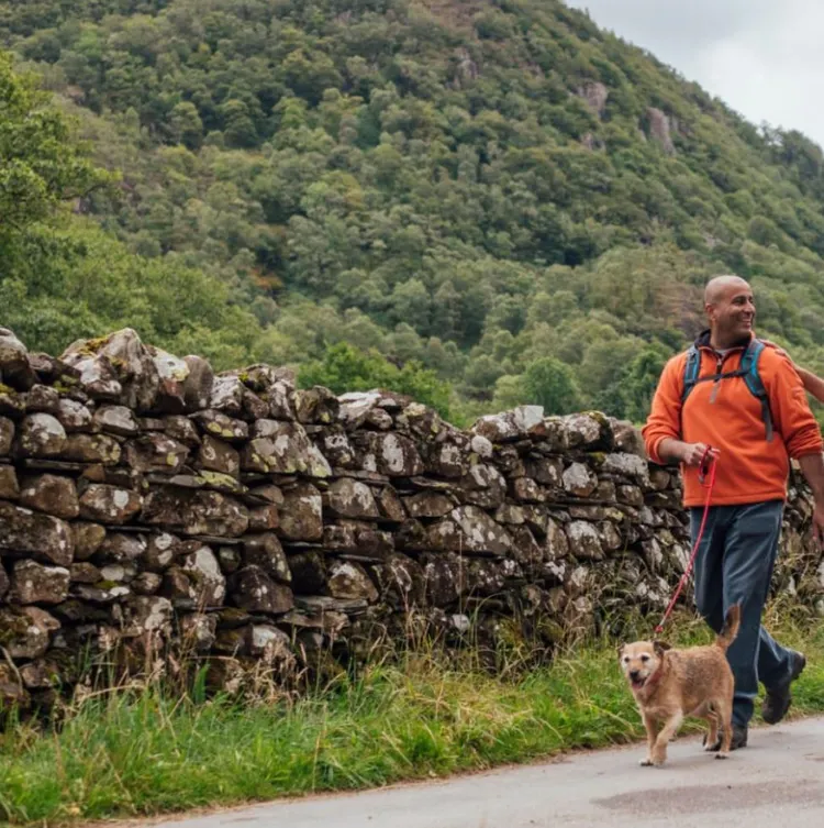 Family, UK, Hiking, Dog Walking, English Lake District