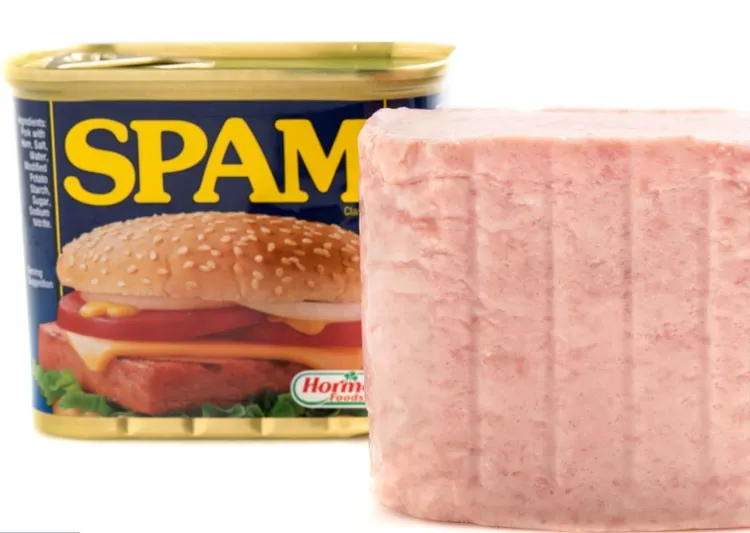 Spam, Meat, Spiced Ham, American Culture, Brand Name