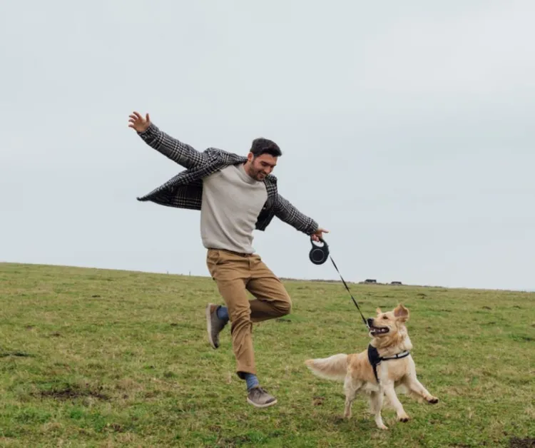 Dog, Dog Walking, Only Men, Beach, Jumping