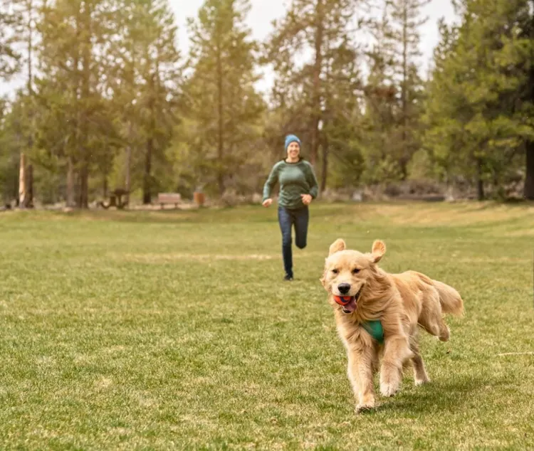 Off-leash Dog Park, Dog, Playful, 30-34 Years, Active Lifestyle