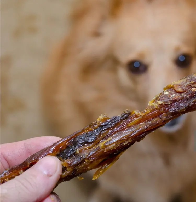 Dog, Chewing, Tendon, Snack, Animal