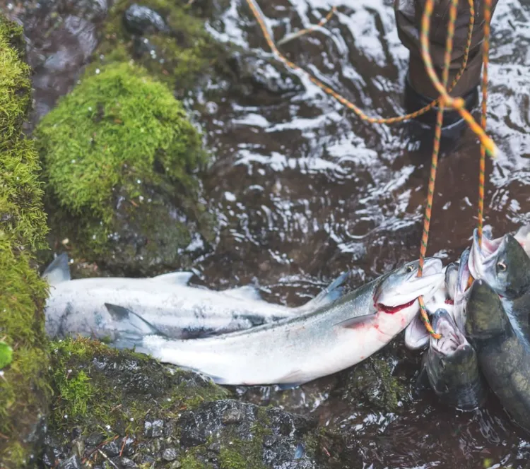 Coveralls, Fishing, Fishing Industry, Adventure, Alaska - US State