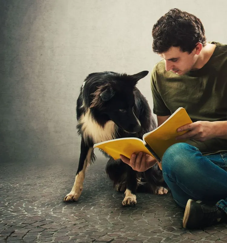 Dog, Owner, Reading, Adult, Animal