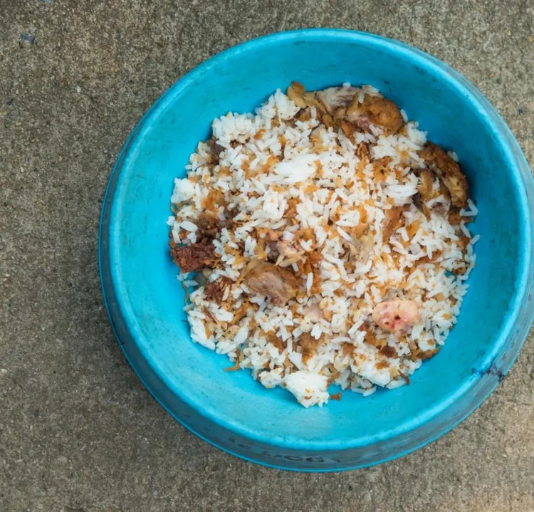 Dog, Rice - Food Staple, Meal, Animal, Asia