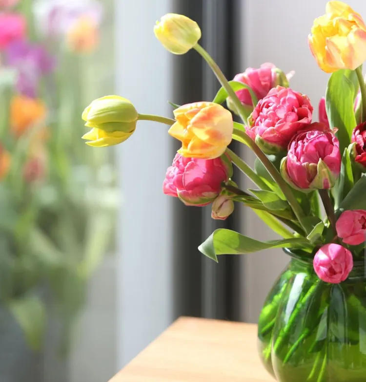 Arrangement, Back Yard, Backgrounds, Border - Frame, Bouquet